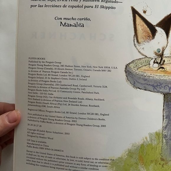 Judy Schachner Skippyjon Jones - Picture 2 of 6